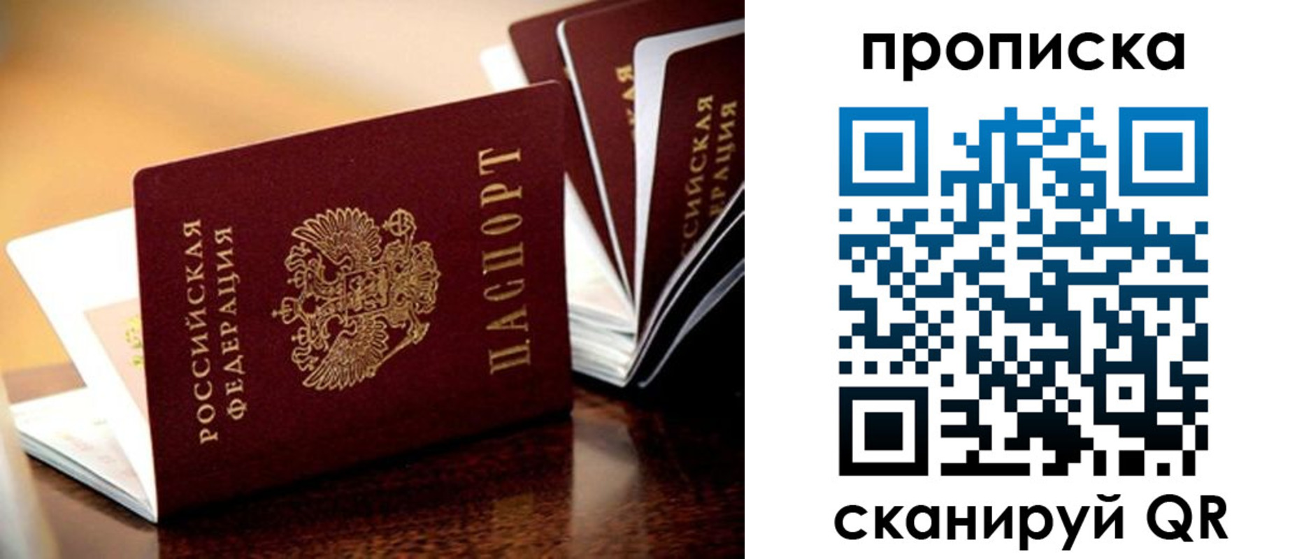 прописка поиск в Рязани